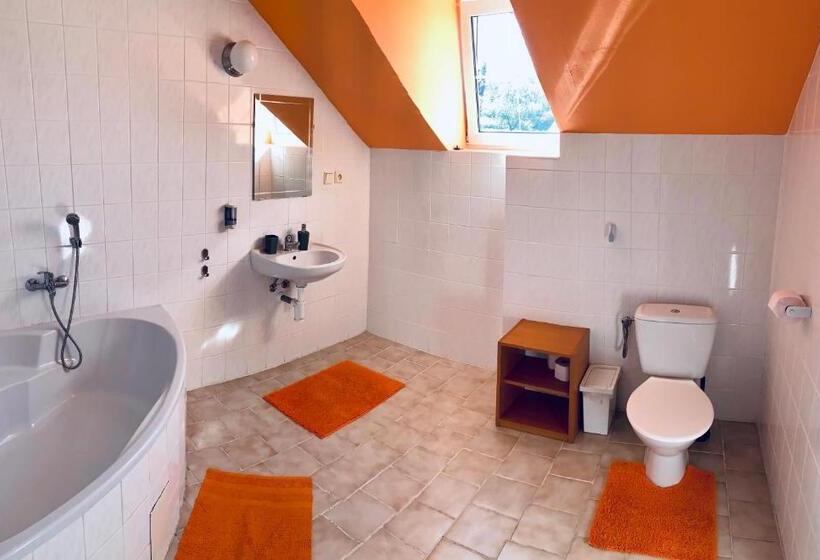 פנסיון Apartmány Na Horce