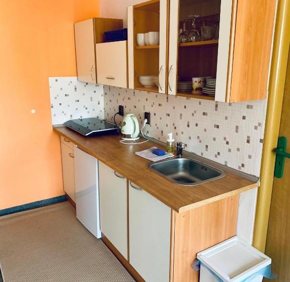 פנסיון Apartmány Na Horce