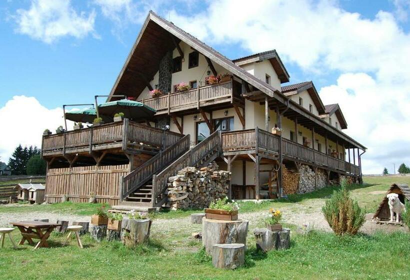 Пансион Cabana Moţilor