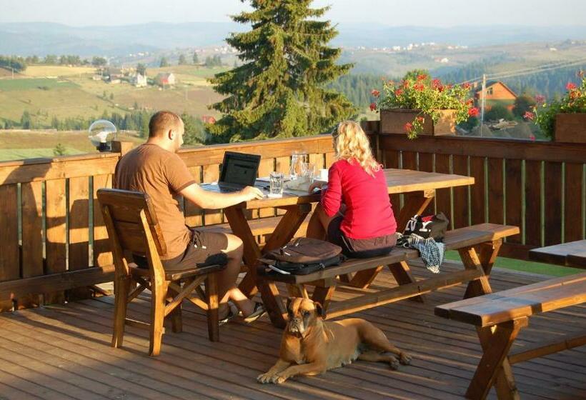 Пансион Cabana Moţilor