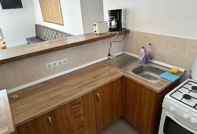 膳宿费 Cabana Sarmis Costesti