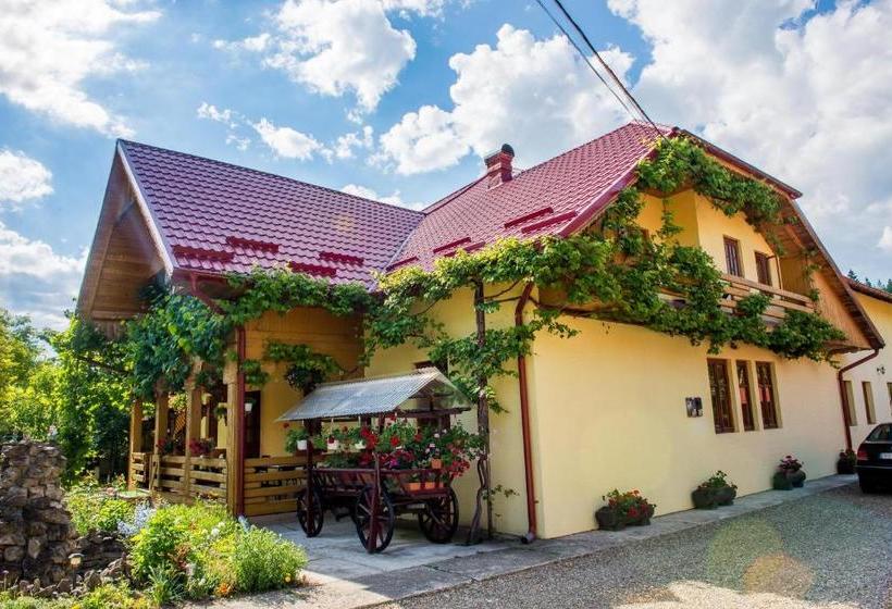 پانسیون Casa Andreea