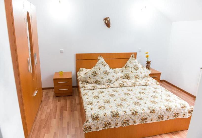 Пансион Casa Andreea