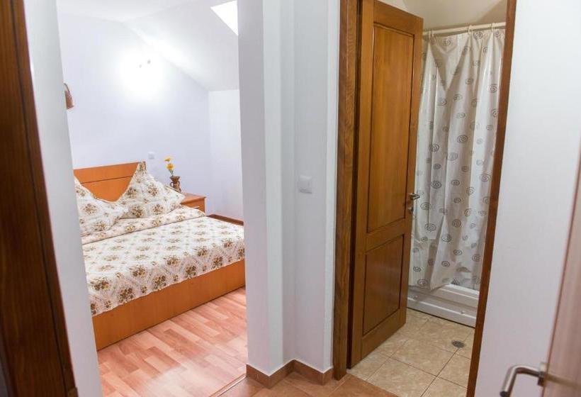 Пансион Casa Andreea