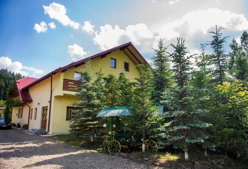 Пансион Casa Andreea