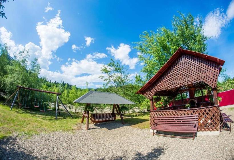 Пансион Casa Andreea