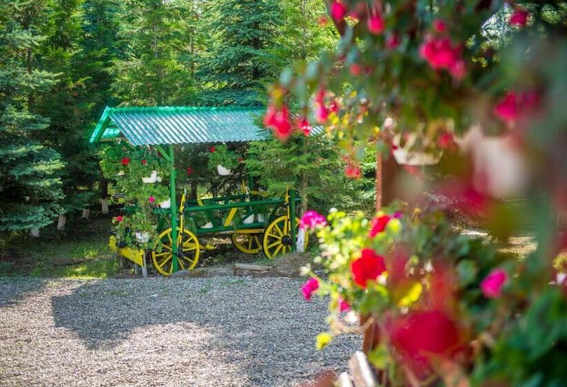 Пансион Casa Andreea