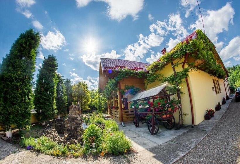 Пансион Casa Andreea