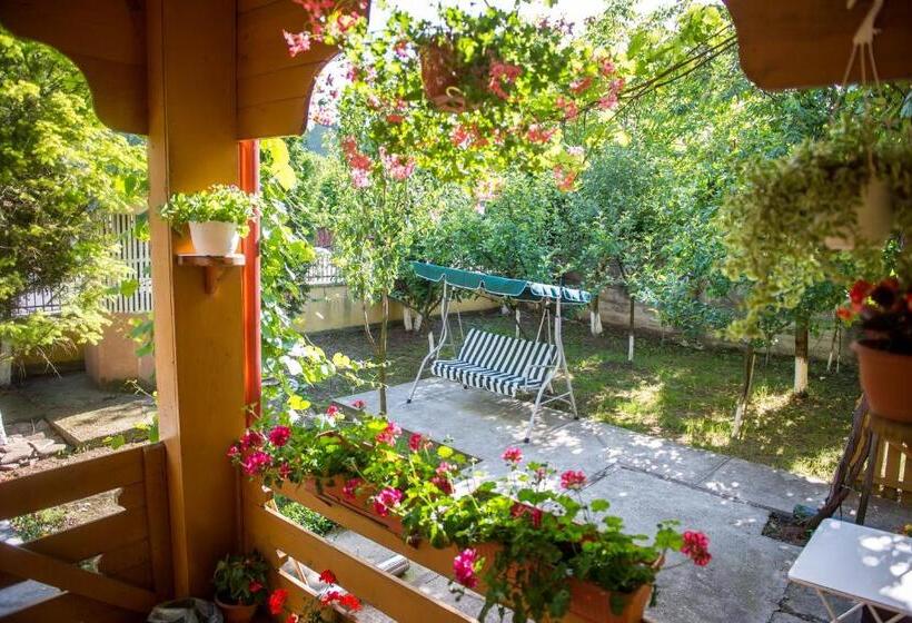 Пансион Casa Andreea