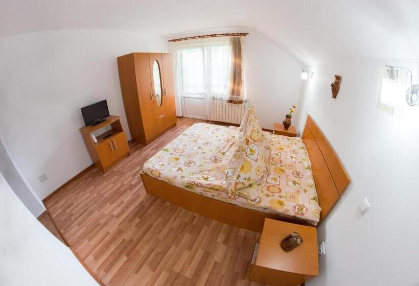 Пансион Casa Andreea