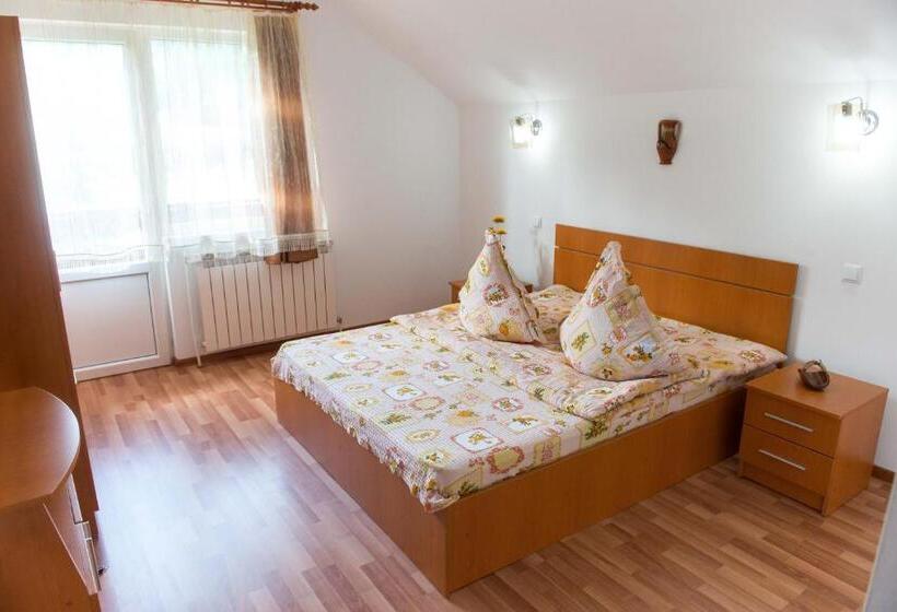 Пансион Casa Andreea