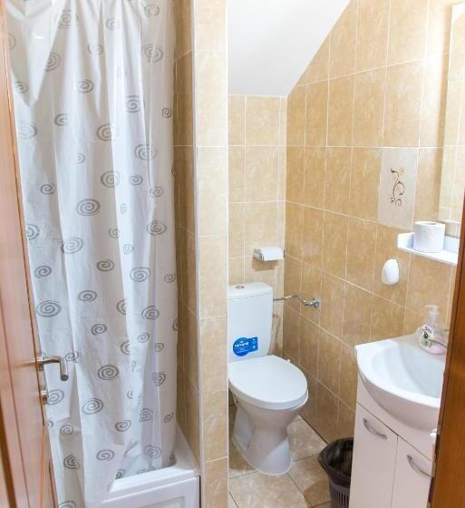 Пансион Casa Andreea