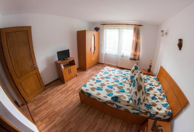 Пансион Casa Andreea