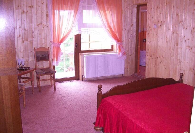 Pensiunea Dracula & Spa