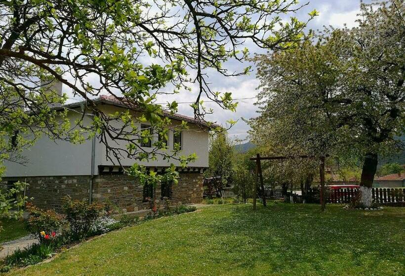 ペンション Complex Ovchaga