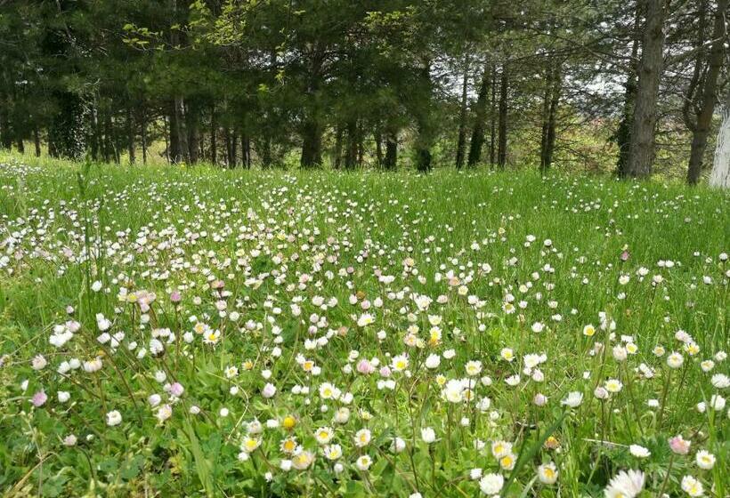 ペンション Complex Ovchaga