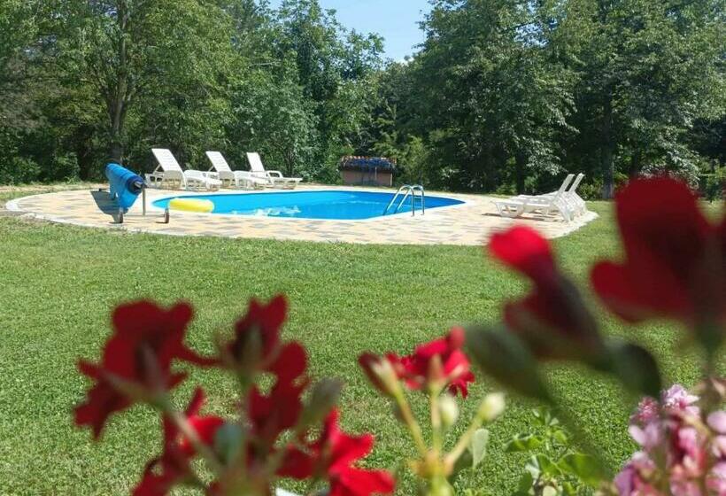 ペンション Complex Ovchaga