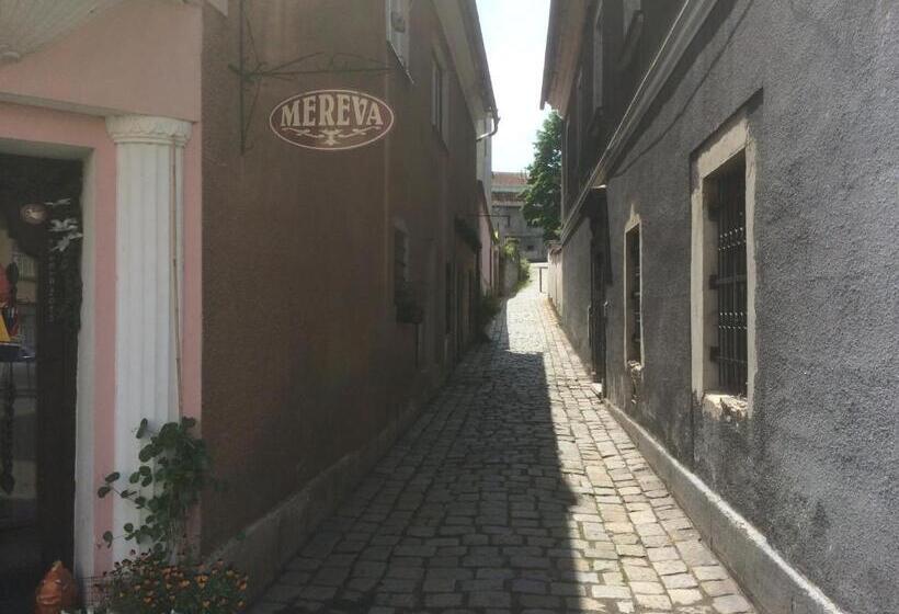 פנסיון Dům V Centru