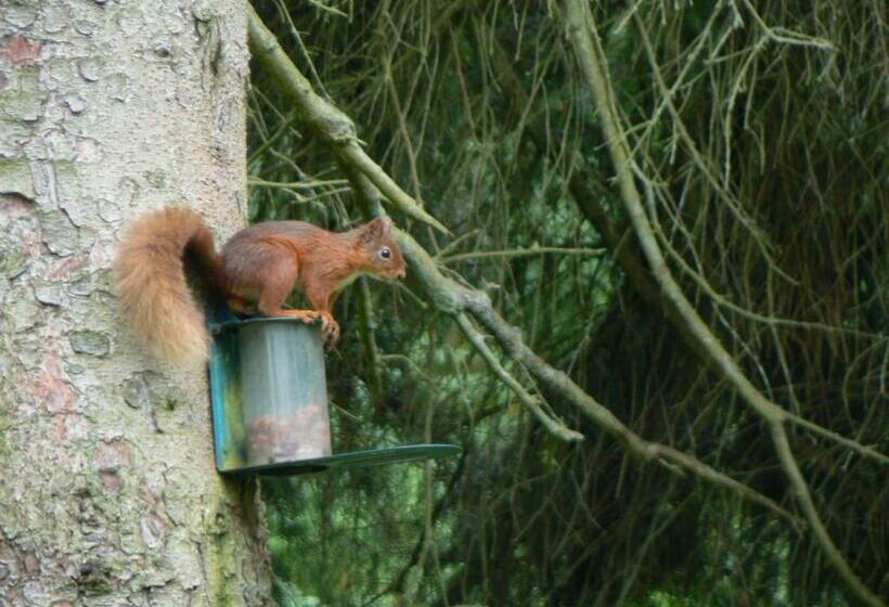 펜션 Forest How Guest House