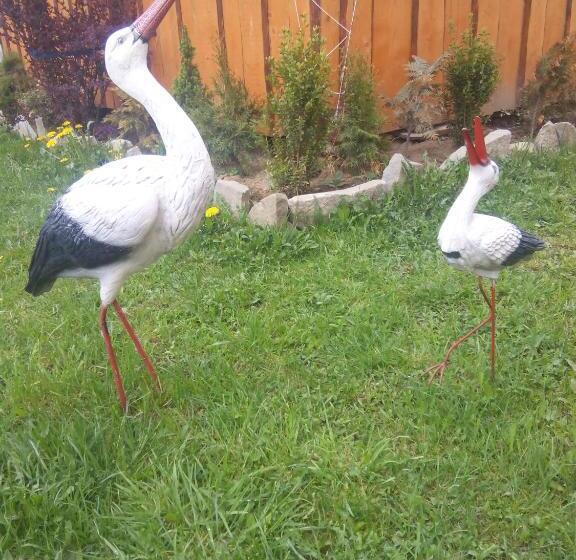 بنسيون Girskyi Kutochok