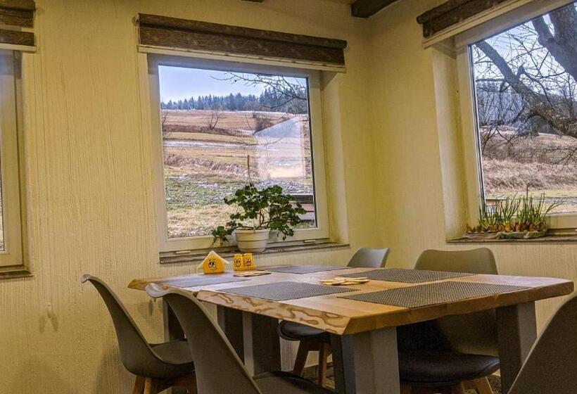 פנסיון Gostynna Rodyna