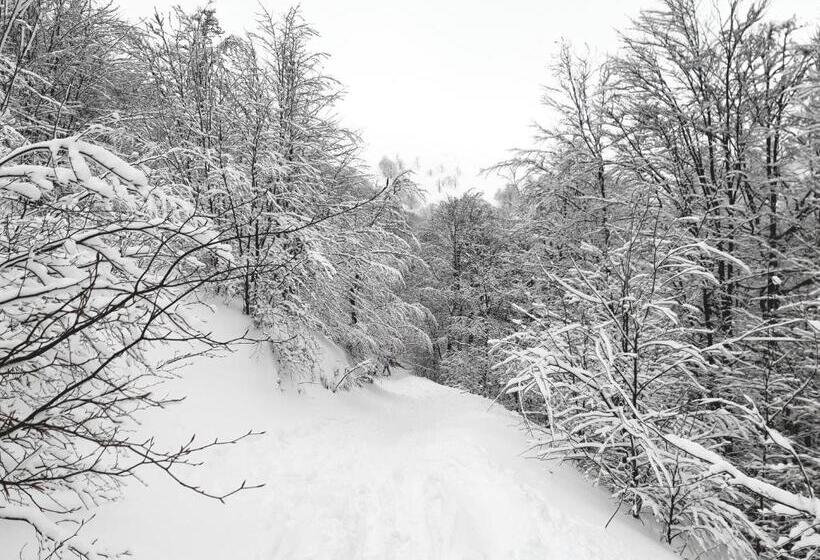 פנסיון Gostynna Rodyna