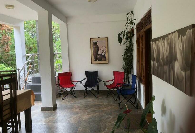 Pension Hamadhi Guest