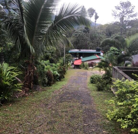 Pensão Hamadhi Guest