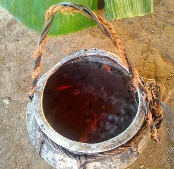 Pensão Hamadhi Guest