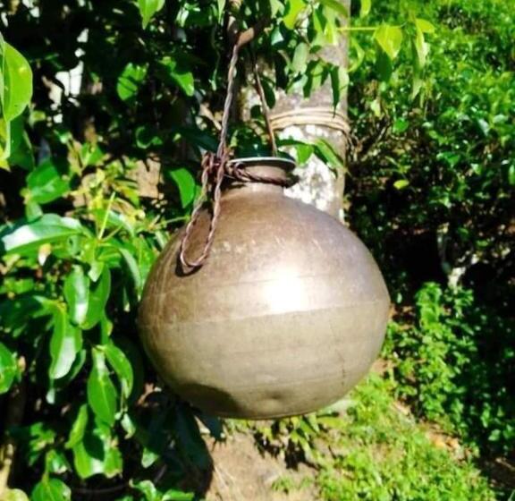 Pensão Hamadhi Guest