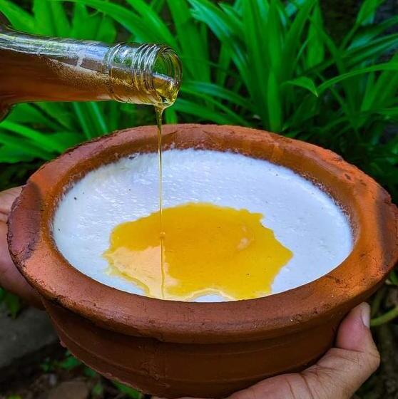 Pension Hamadhi Guest