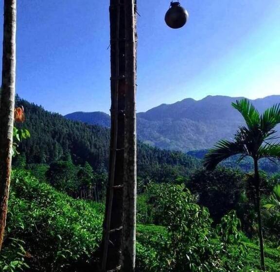 Pensão Hamadhi Guest