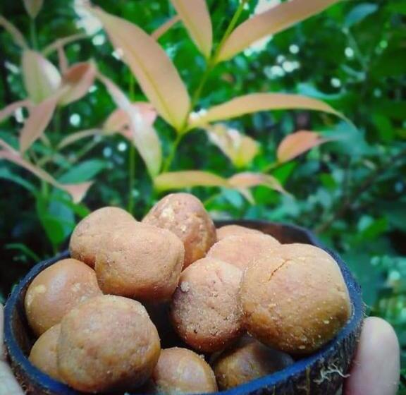 Pensão Hamadhi Guest