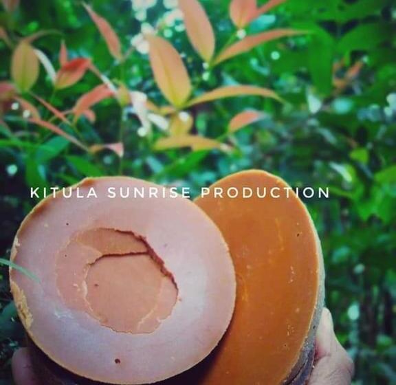 Pension Hamadhi Guest