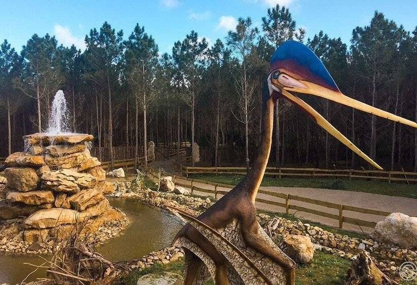 بنسيون Hospedaria Recomeçar