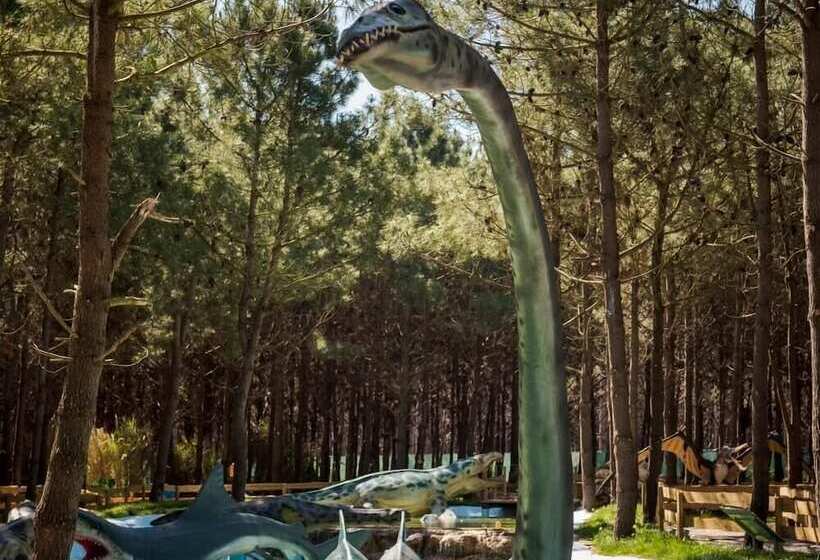 بنسيون Hospedaria Recomeçar