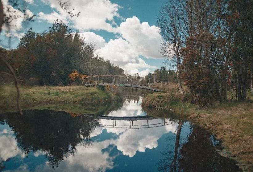 بنسيون Hostal Casa Bosque