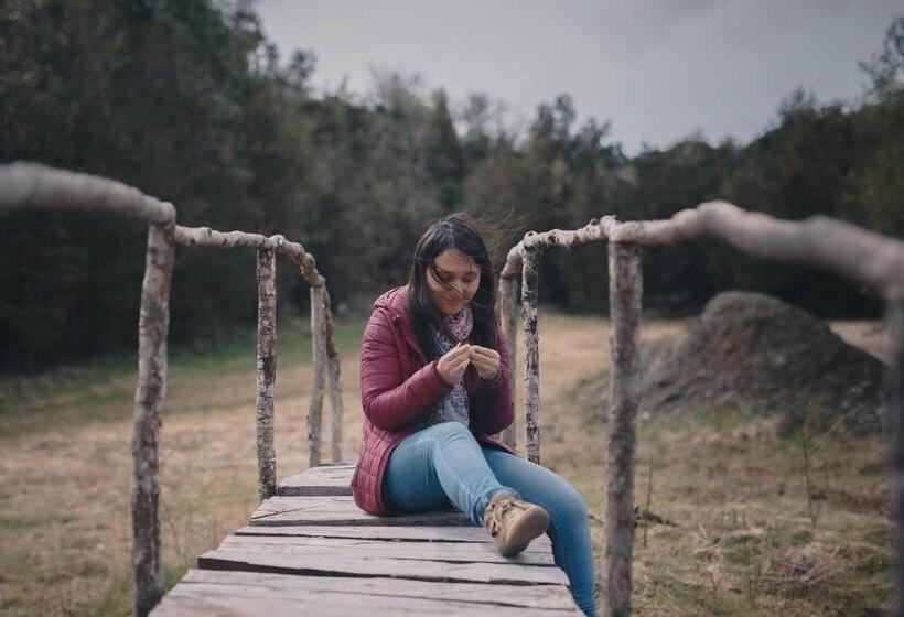 بنسيون Hostal Casa Bosque