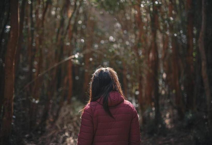 بنسيون Hostal Casa Bosque