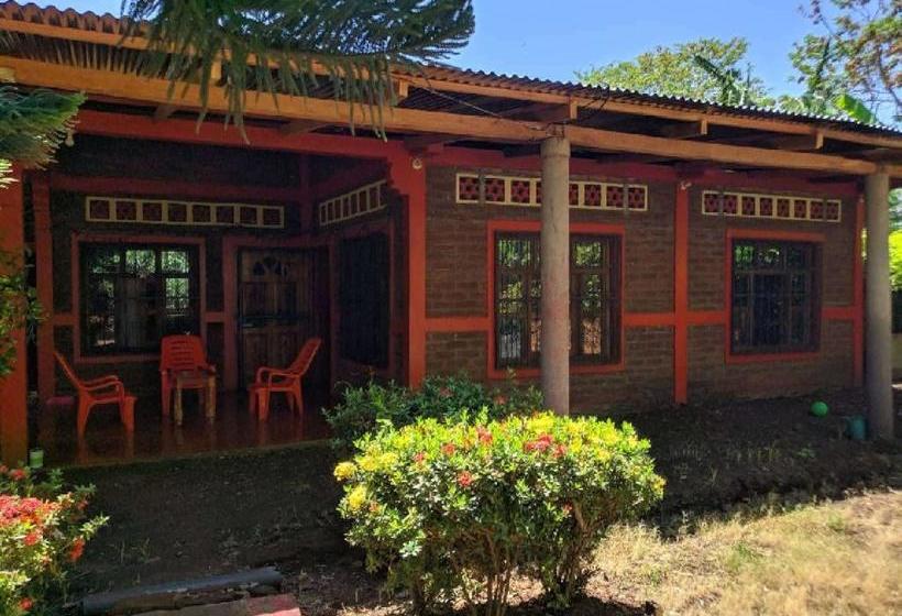 膳宿费 El Güis Hostel