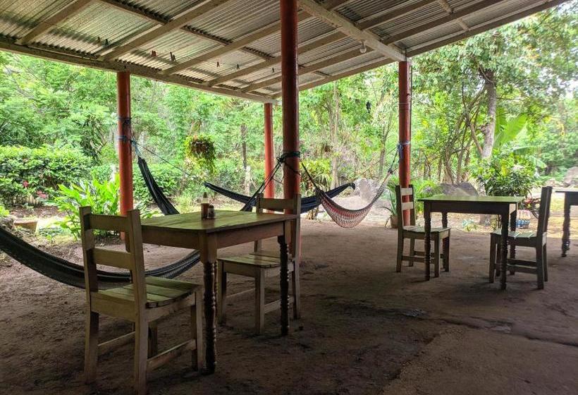 膳宿费 El Güis Hostel