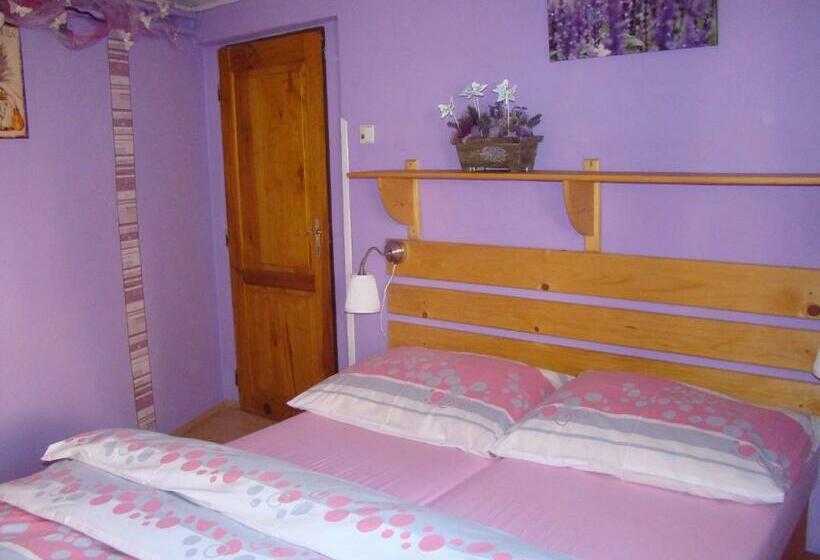 פנסיון Kamélie