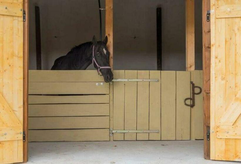 Пансион Koppány Lovasudvar