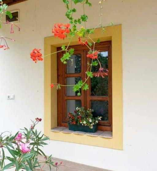 Пансион Koppány Lovasudvar