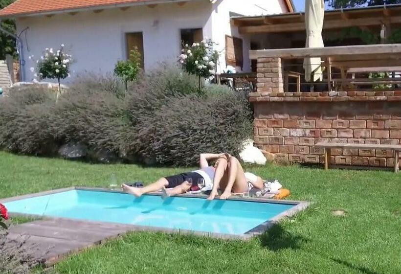 ペンション La Bobul Apartments