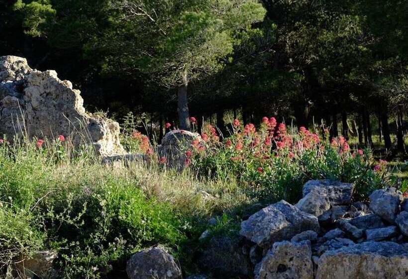 膳宿费 La Stregheria