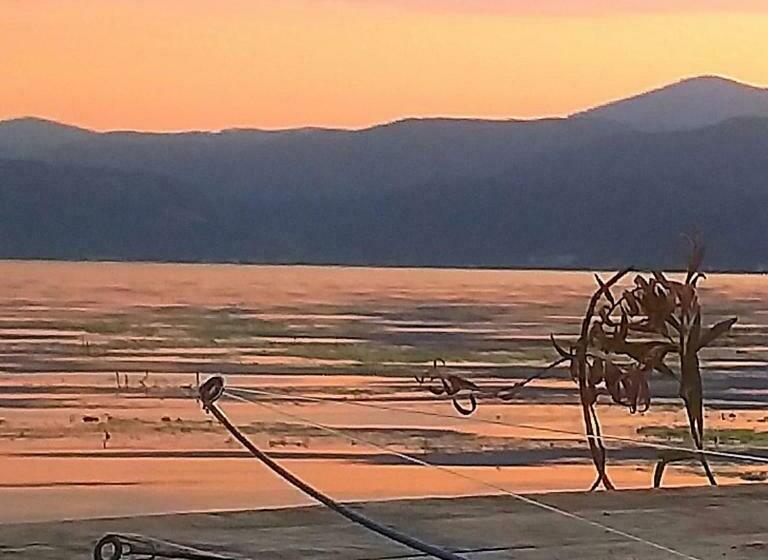 Пансион Mai Danube