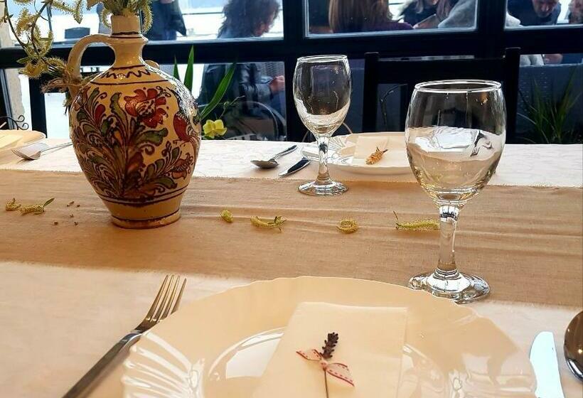 Пансион Mai Danube