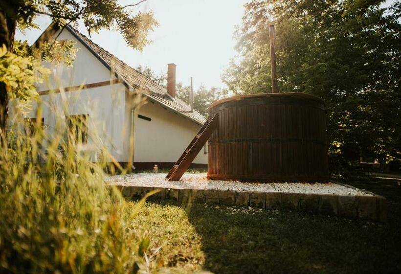 Пансион Nyugalom Az Erdő Közepén Ruzsa