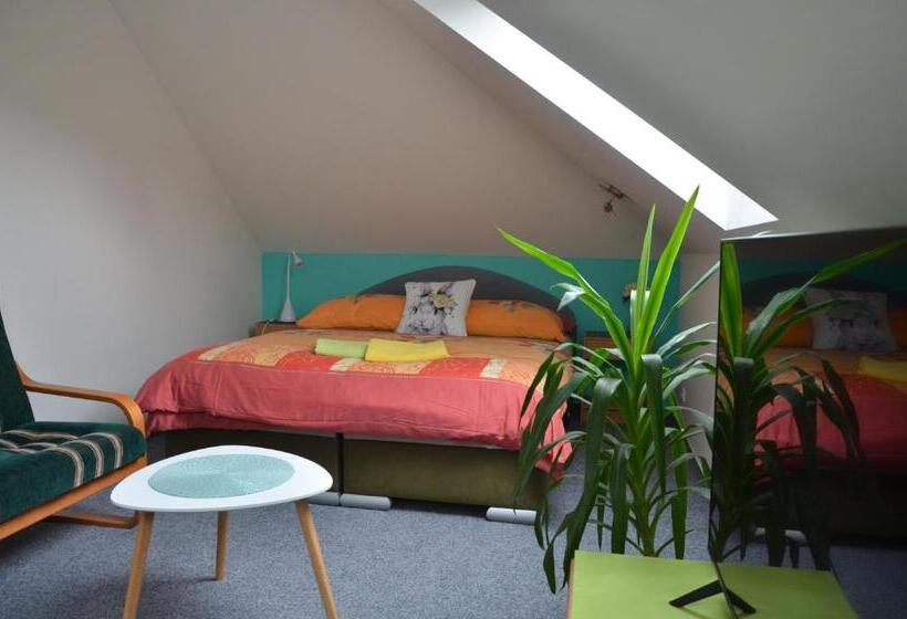 פנסיון Penzion Aura